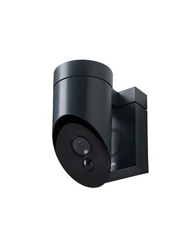 Somfy - Überwachungskamera grau mit integrierter Sirene Somfy Outdoor camera