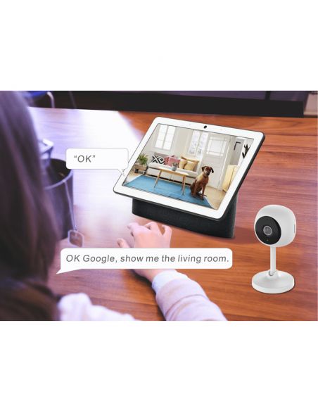 WOOX - Wired WIFI Indoor Camera (TUYA SmartLife, ALEXA and Google Assistant)